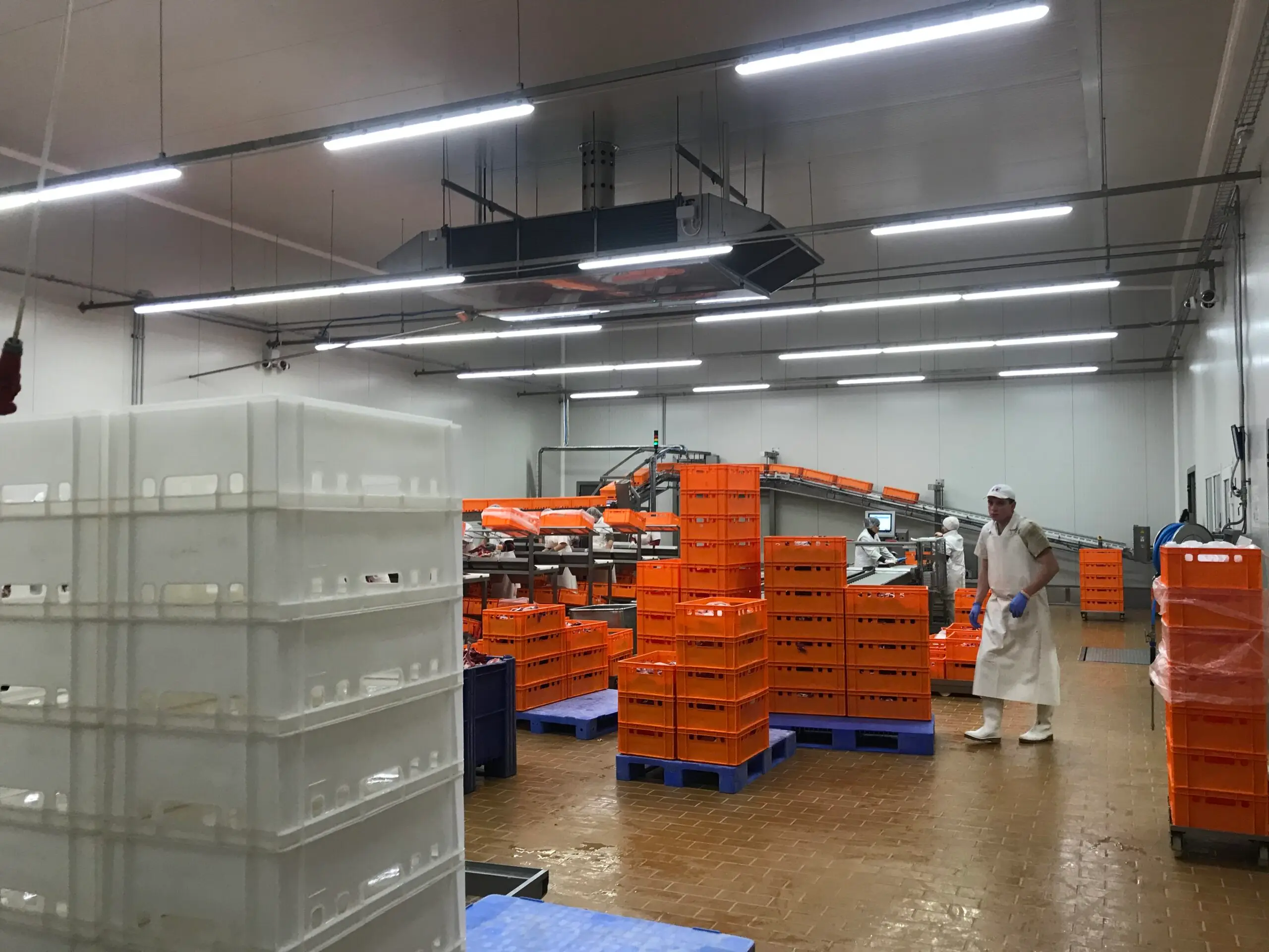 Production hall of a meat processing plant